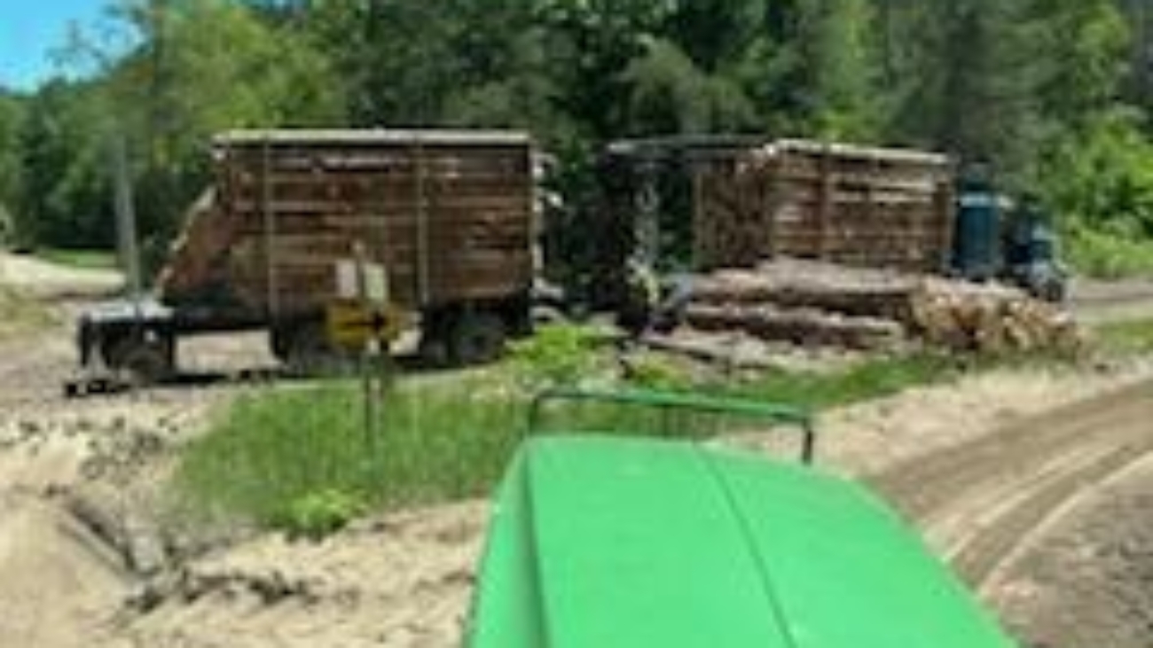 IMG_20240610_150320