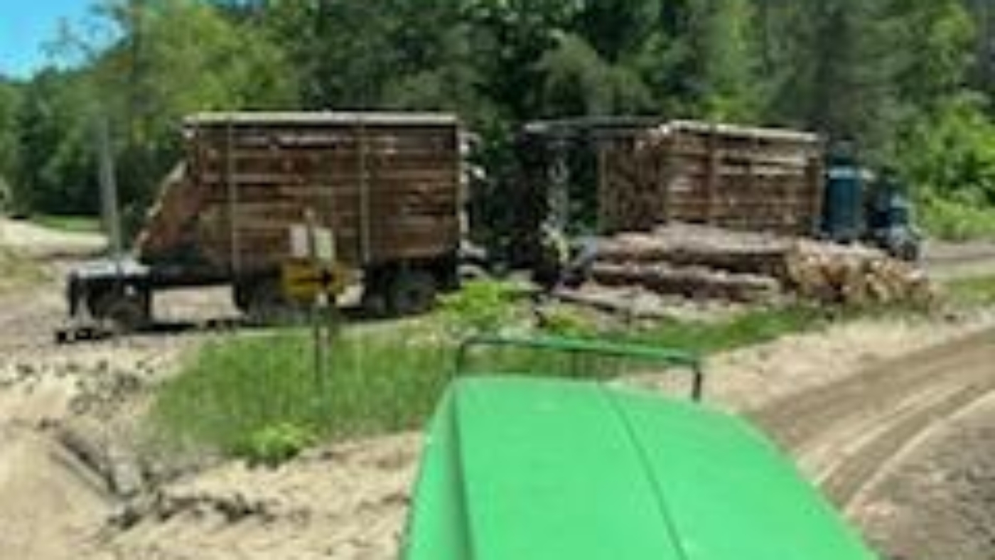 IMG_20240610_150320