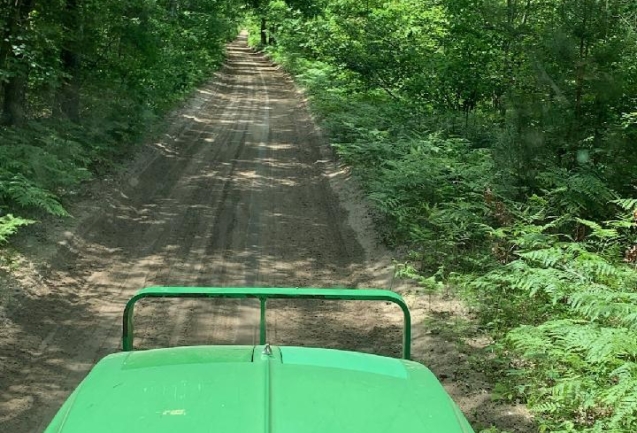 IMG_20240613_120929 (4)